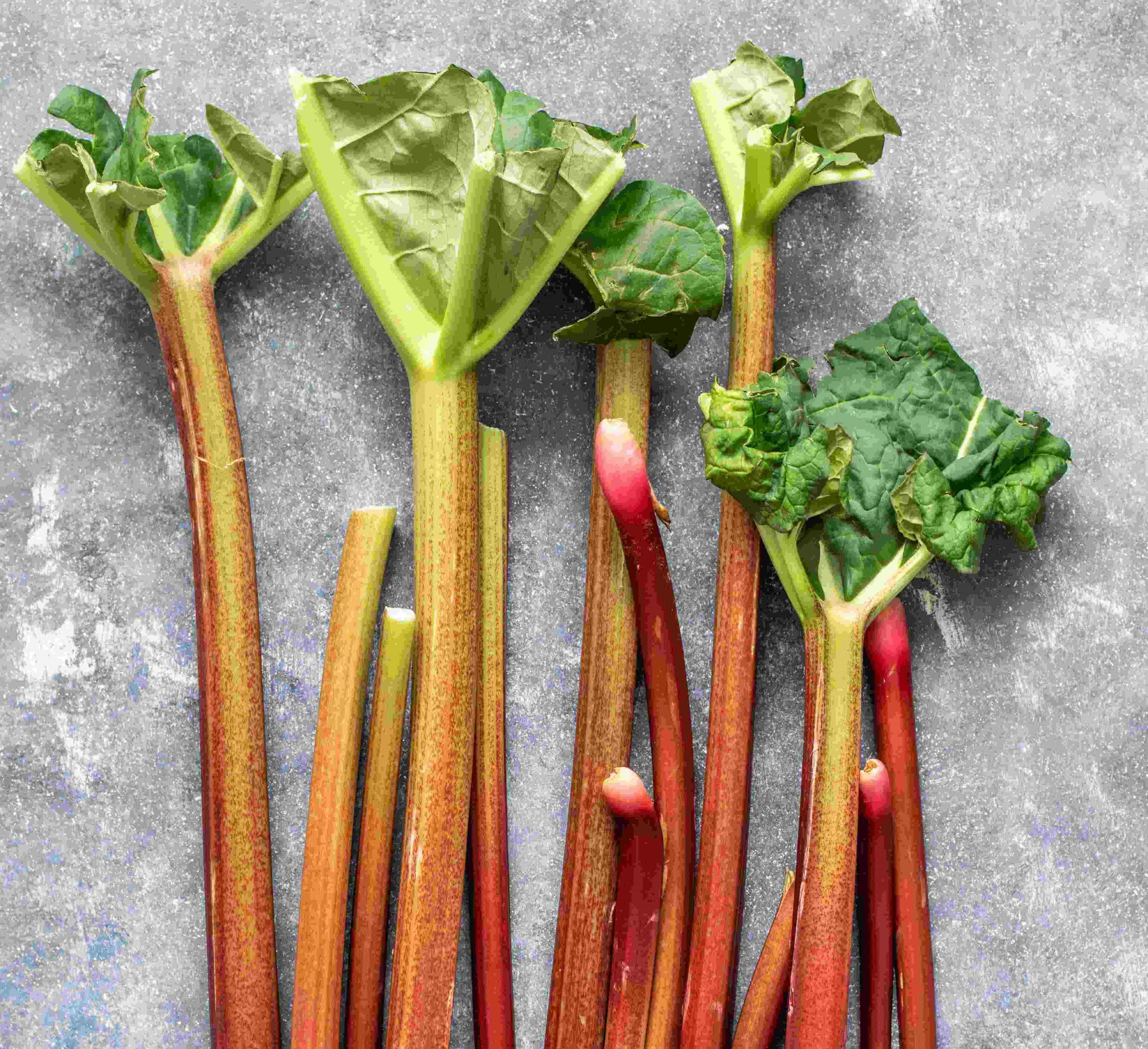 Comment réutiliser vos feuilles de rhubarbe